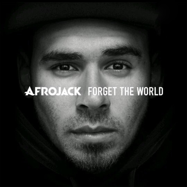 Afrojack-Forget-the-World-2014