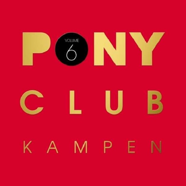 Pony Club Kampen 6